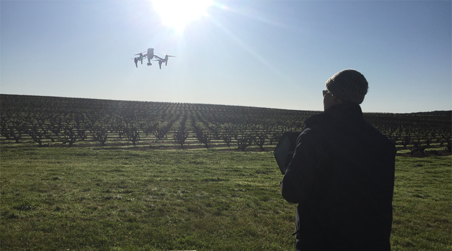 Drones and wine